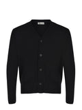 FILIPPO DE LAURENTIS Cardigan CB3MLT WM5R-990 Black