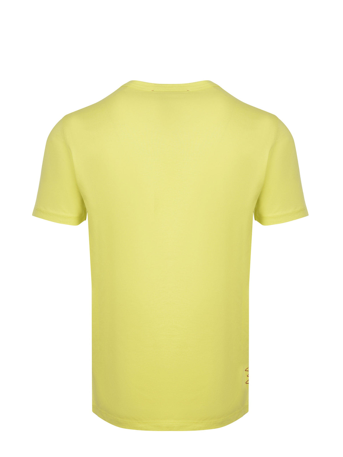 AMARANTH T-shirt B6D0054 21M Cedar
