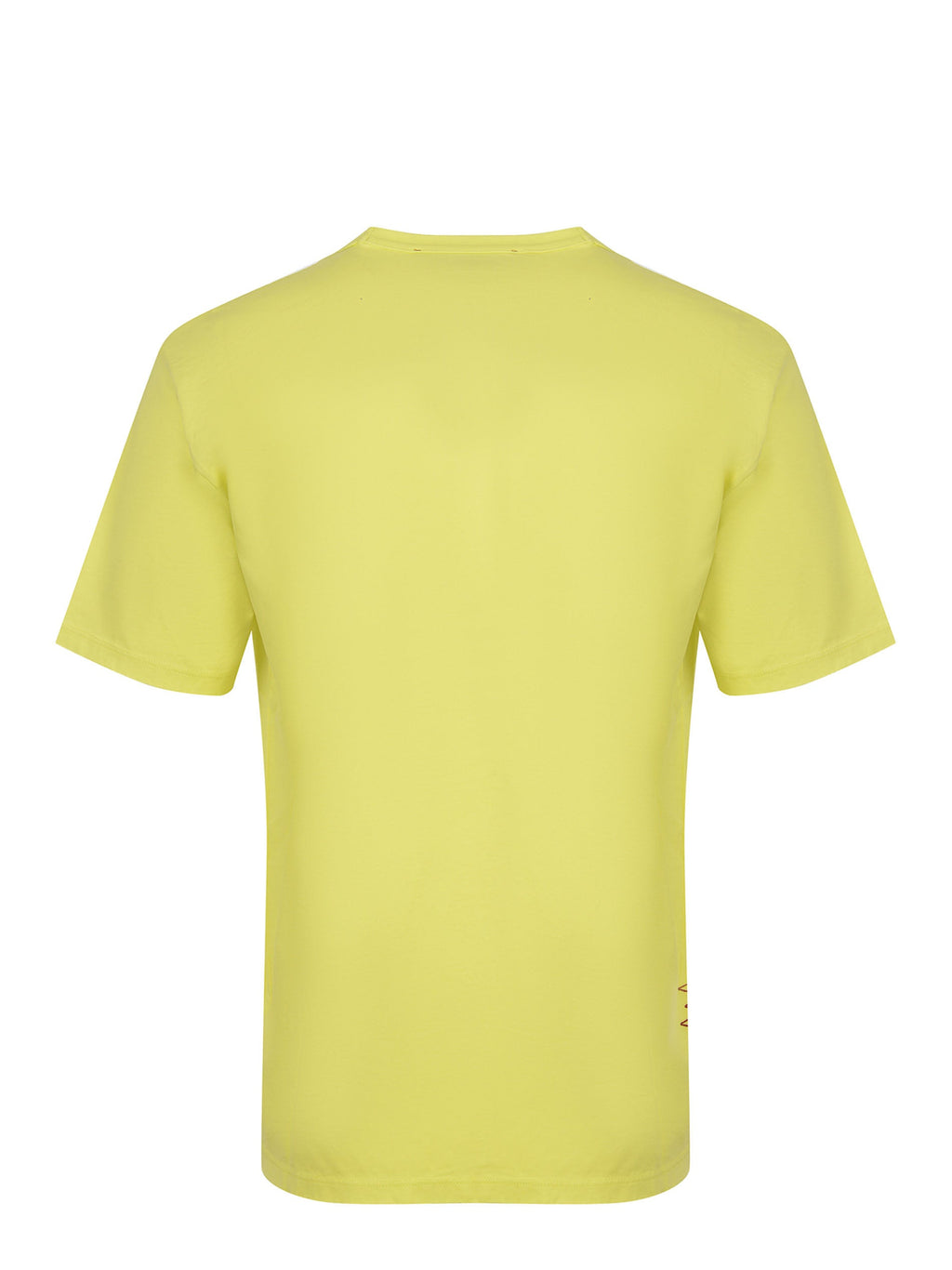 AMARANTH T-shirt B6D0070 21M Cedar