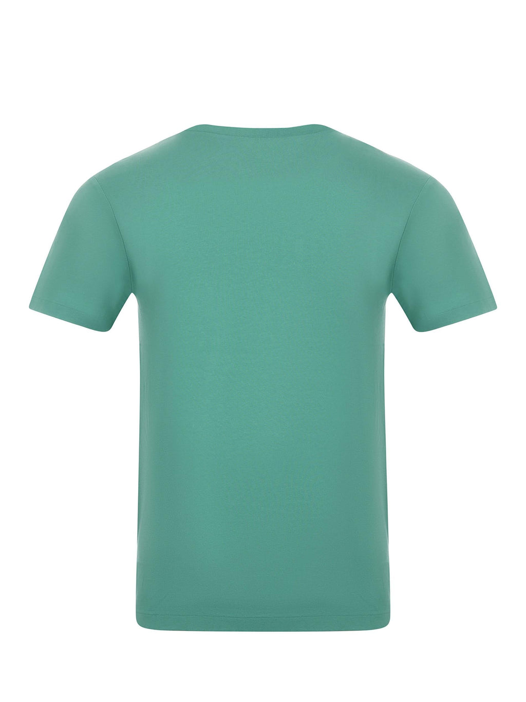 POLO RALPH LAUREN T-shirt 973138 001 Green