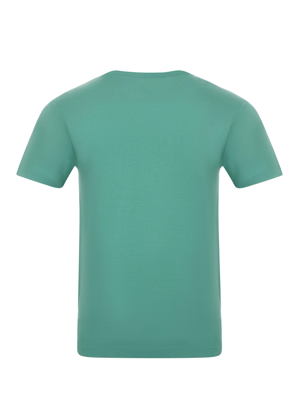 POLO RALPH LAUREN T-shirt 973138 001 Green