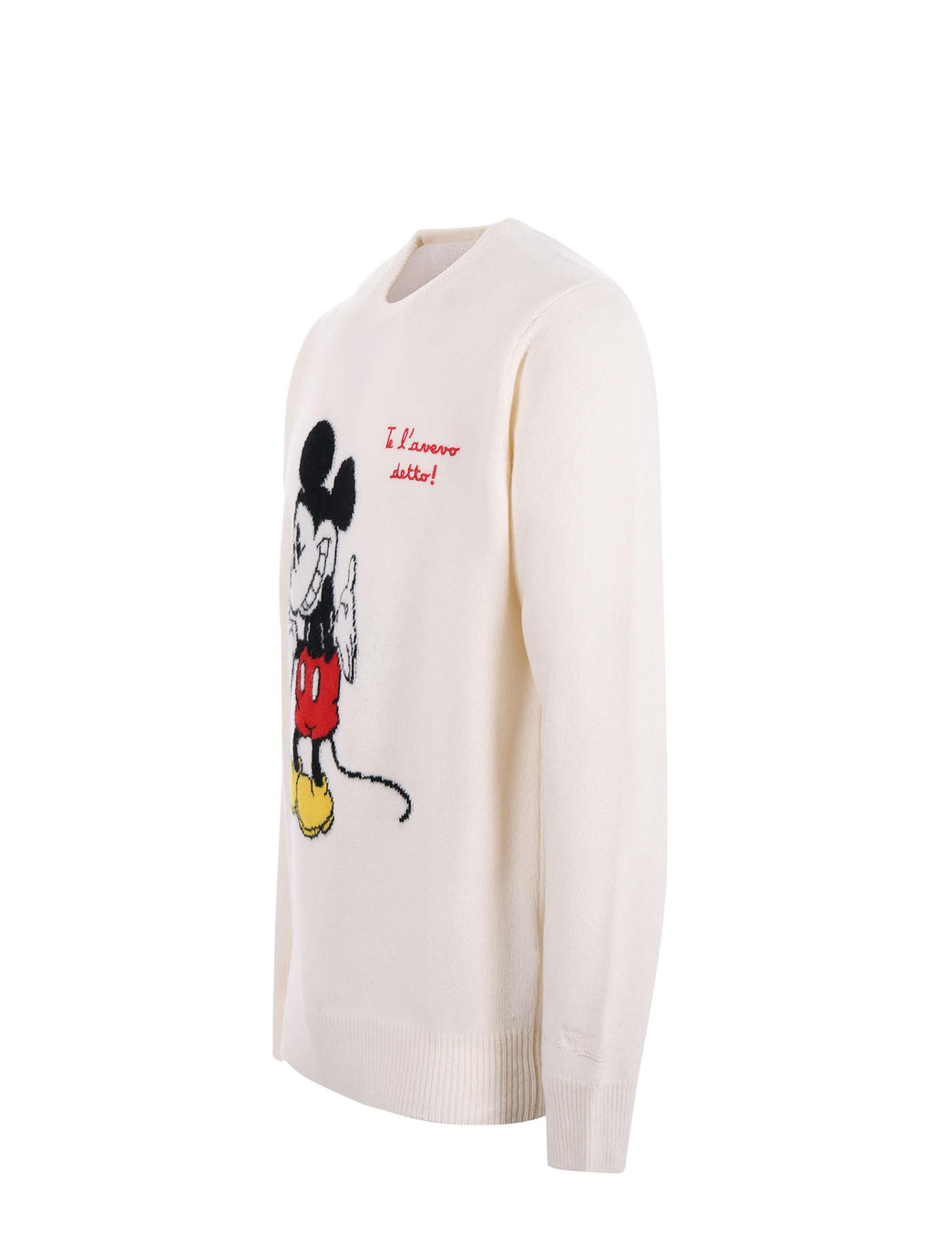 MC2 SAINT BARTH Sweaters HERON 00411I Cream